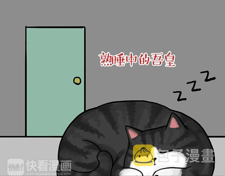 第33话 洗猫的少年总是孤独的 第30页