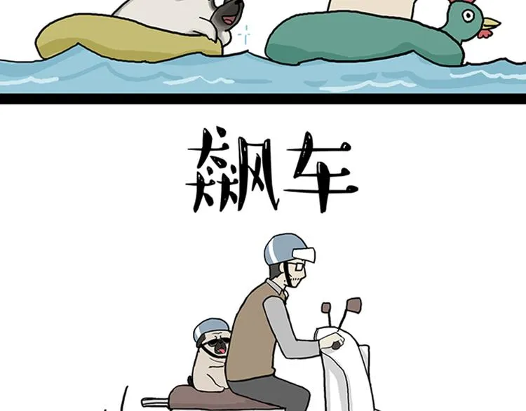 第33话 洗猫的少年总是孤独的 第50页
