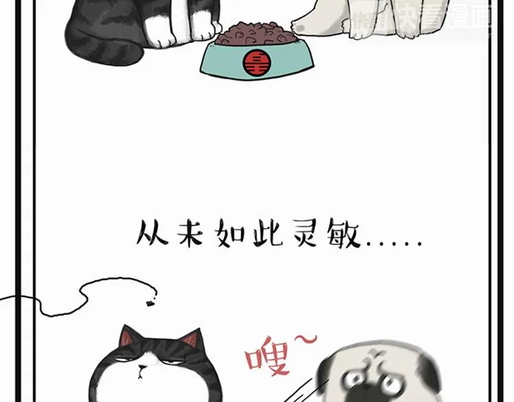 第35话 偷吃的鼓手巴扎黑 第26页