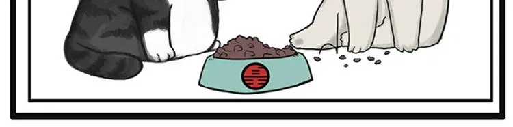 第35话 偷吃的鼓手巴扎黑 第31页