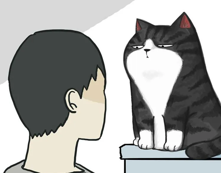 第36话 猫奴为什么没有尊严 第16页