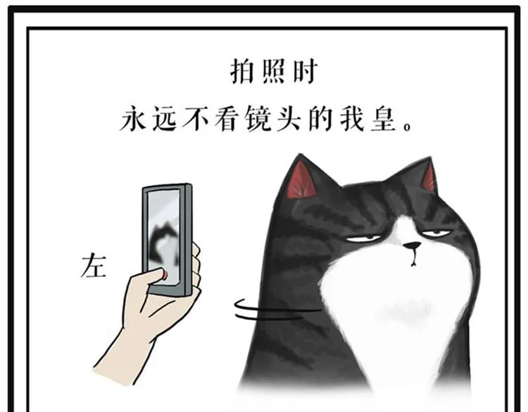 第37话 今天，你优雅了吗 第31页