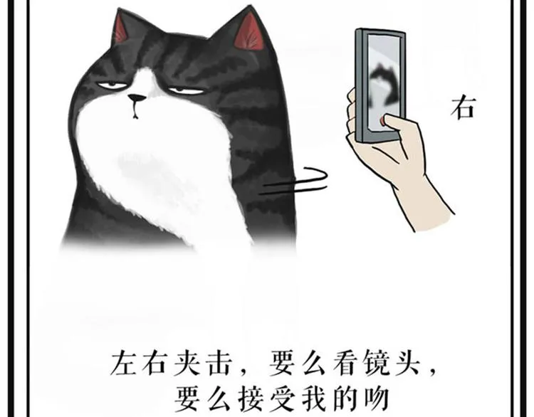 第37话 今天，你优雅了吗 第32页