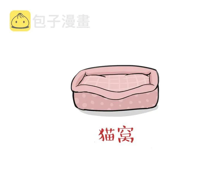 第38话 猫星人的三宫六院 第12页