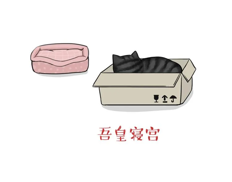 第38话 猫星人的三宫六院 第13页
