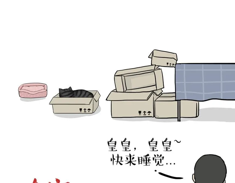 第38话 猫星人的三宫六院 第15页