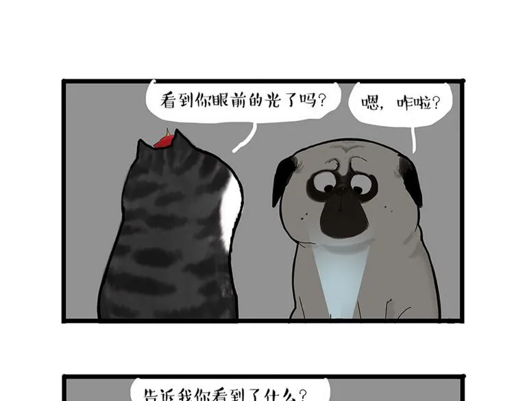 第38话 猫星人的三宫六院 第17页