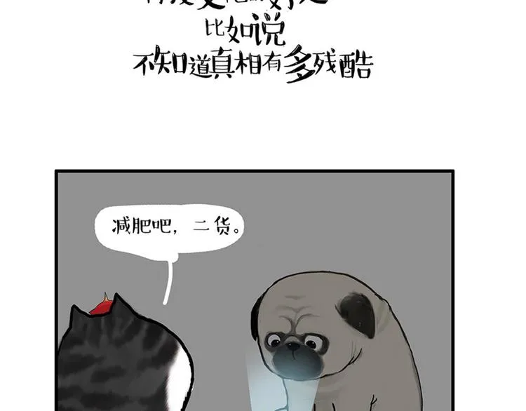 第38话 猫星人的三宫六院 第21页