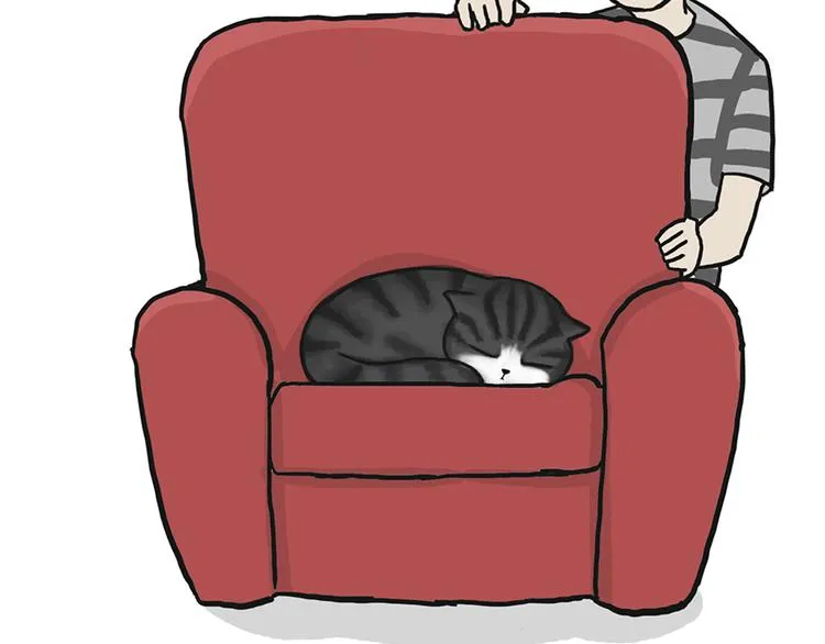 第39话 现在的猫狗戏比人都多 第14页