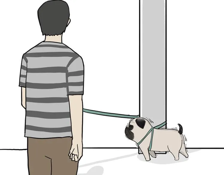 第39话 现在的猫狗戏比人都多 第23页