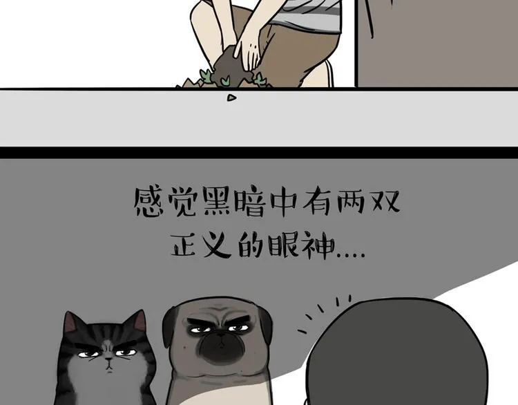 第41话 好气哦，人不如狗 第16页