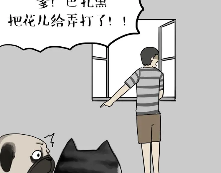 第41话 好气哦，人不如狗 第21页