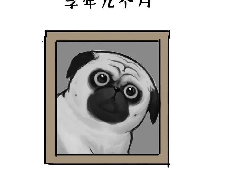 第43话 让父母别看奇怪文章 第7页