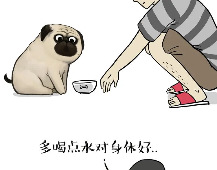 第44话 日常坑狗，却猫前屈膝 第2页