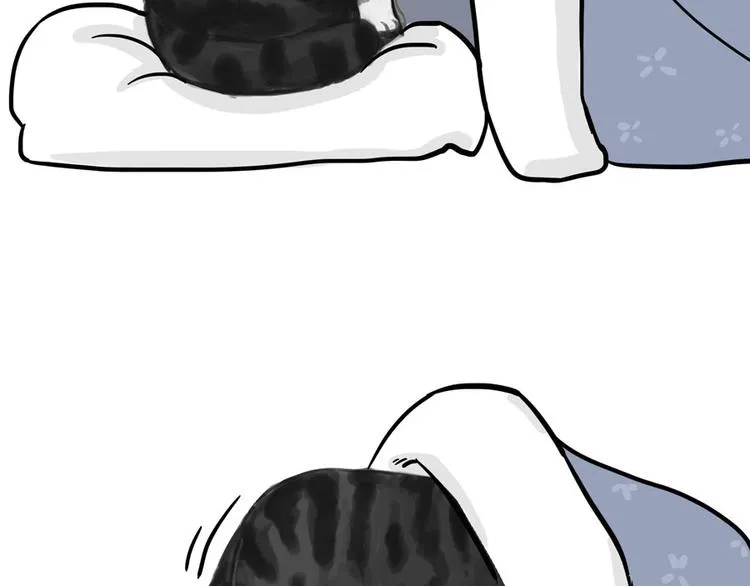 第44话 日常坑狗，却猫前屈膝 第9页