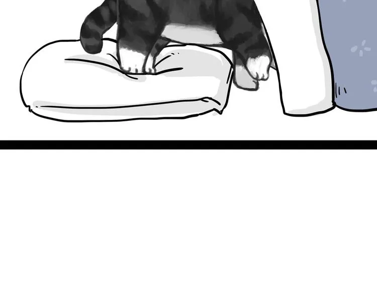 第44话 日常坑狗，却猫前屈膝 第10页