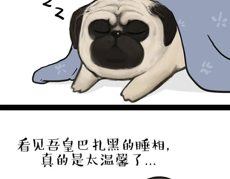 第44话 日常坑狗，却猫前屈膝 第15页