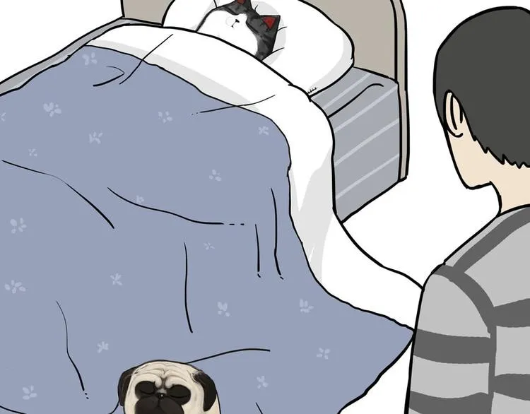 第44话 日常坑狗，却猫前屈膝 第18页