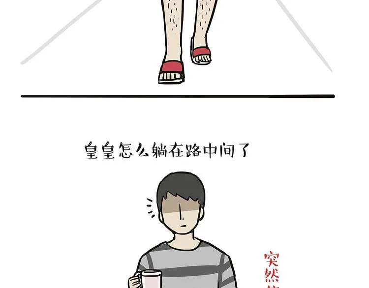 第44话 日常坑狗，却猫前屈膝 第22页
