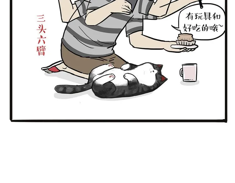 第44话 日常坑狗，却猫前屈膝 第25页