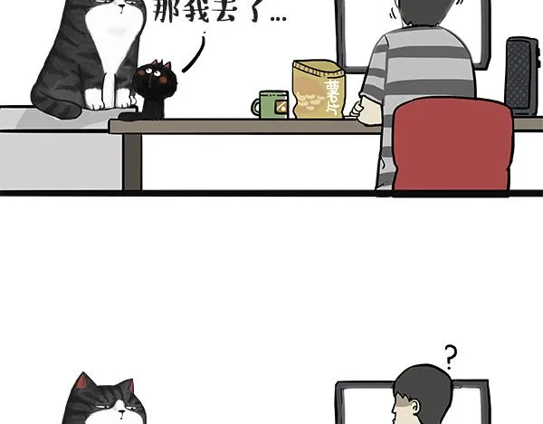 第49话 只见新人笑未闻旧人哭 第5页