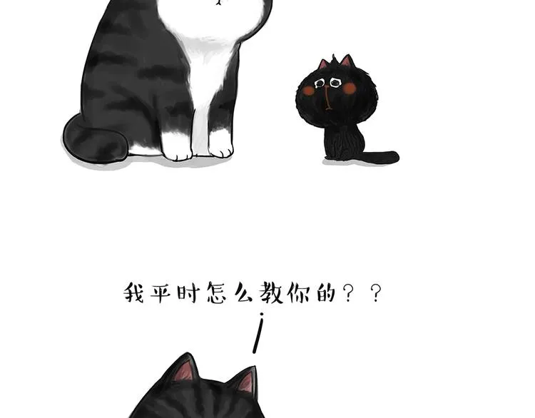 第49话 只见新人笑未闻旧人哭 第10页