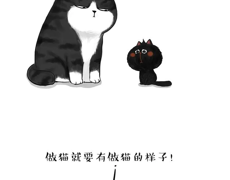 第49话 只见新人笑未闻旧人哭 第11页