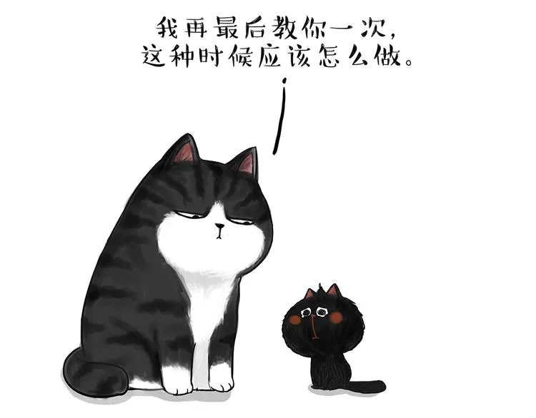 第49话 只见新人笑未闻旧人哭 第13页
