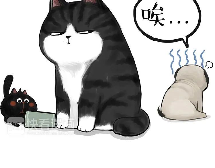 第49话 只见新人笑未闻旧人哭 第18页