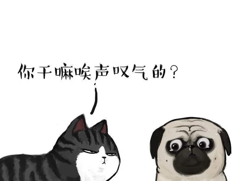 第49话 只见新人笑未闻旧人哭 第19页