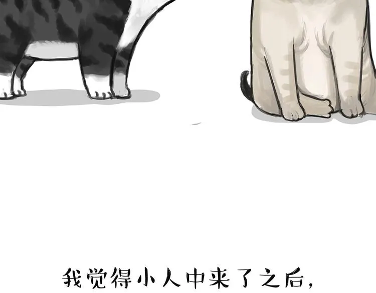 第49话 只见新人笑未闻旧人哭 第20页