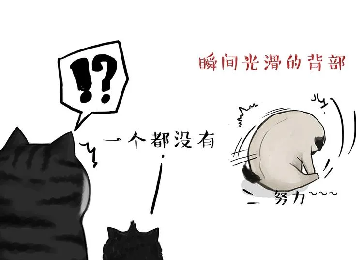 第51话 猫和狗的待遇就是不同 第7页