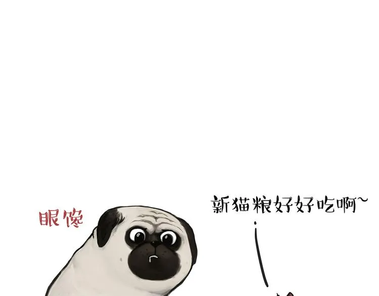 第51话 猫和狗的待遇就是不同 第8页