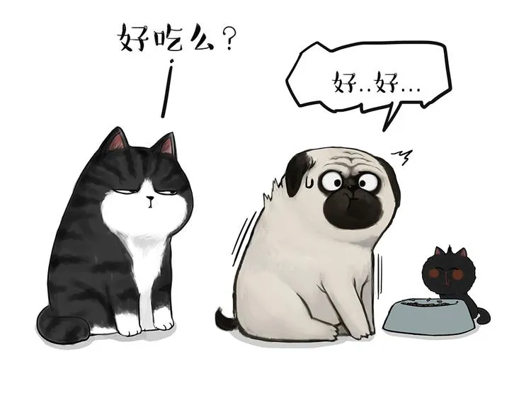 第51话 猫和狗的待遇就是不同 第13页