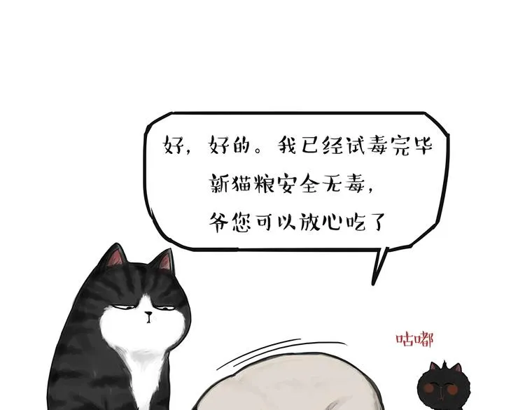 第51话 猫和狗的待遇就是不同 第14页