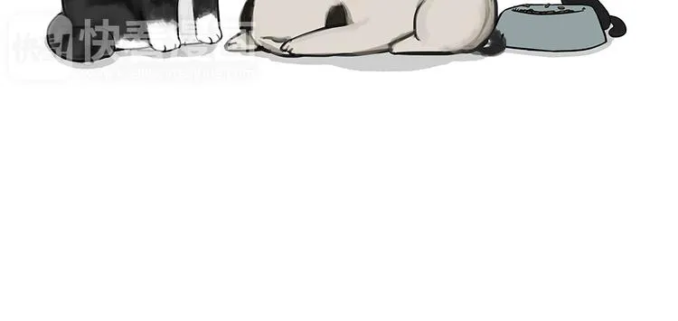 第51话 猫和狗的待遇就是不同 第15页