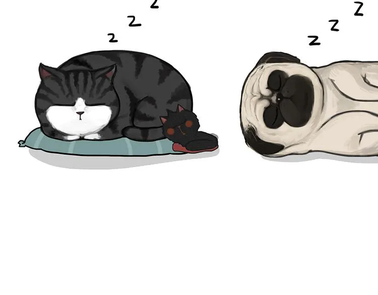 第51话 猫和狗的待遇就是不同 第17页