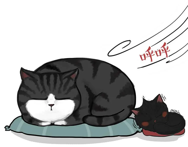 第51话 猫和狗的待遇就是不同 第18页