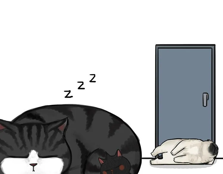 第51话 猫和狗的待遇就是不同 第26页