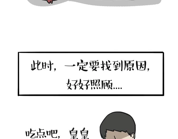 第51话 猫和狗的待遇就是不同 第31页