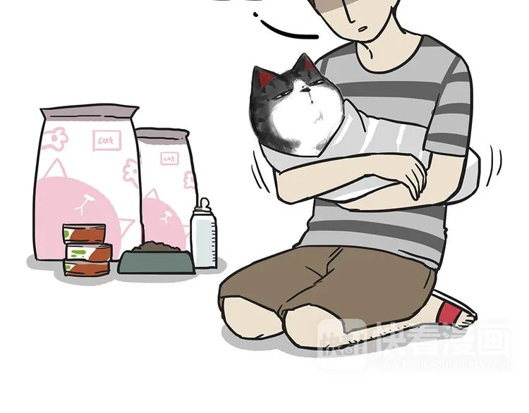 第51话 猫和狗的待遇就是不同 第32页