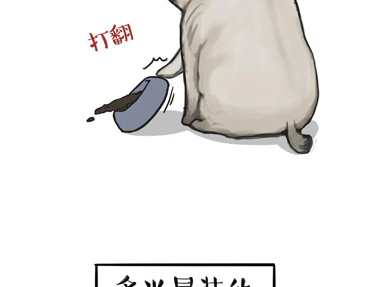 第51话 猫和狗的待遇就是不同 第34页