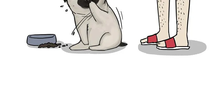 第51话 猫和狗的待遇就是不同 第36页
