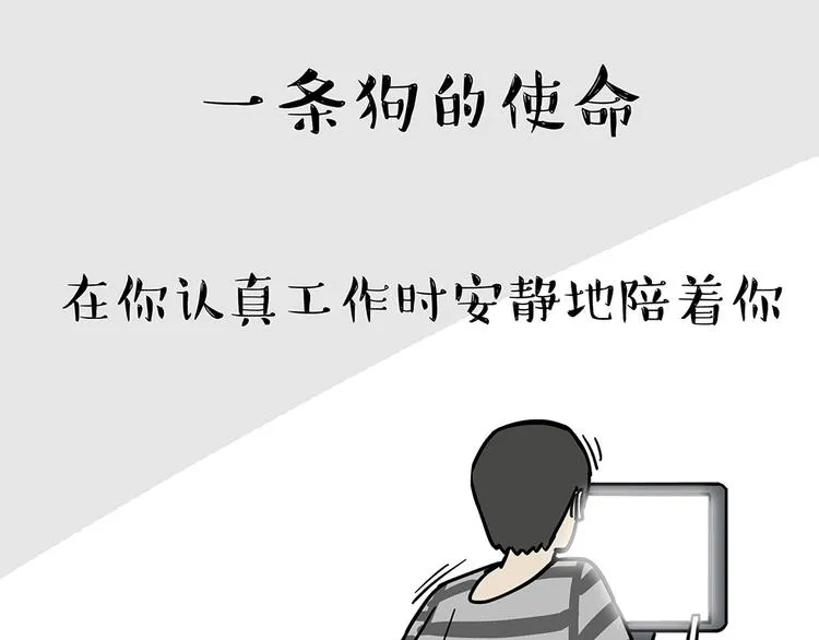 第52话 宠物的使命 第1页