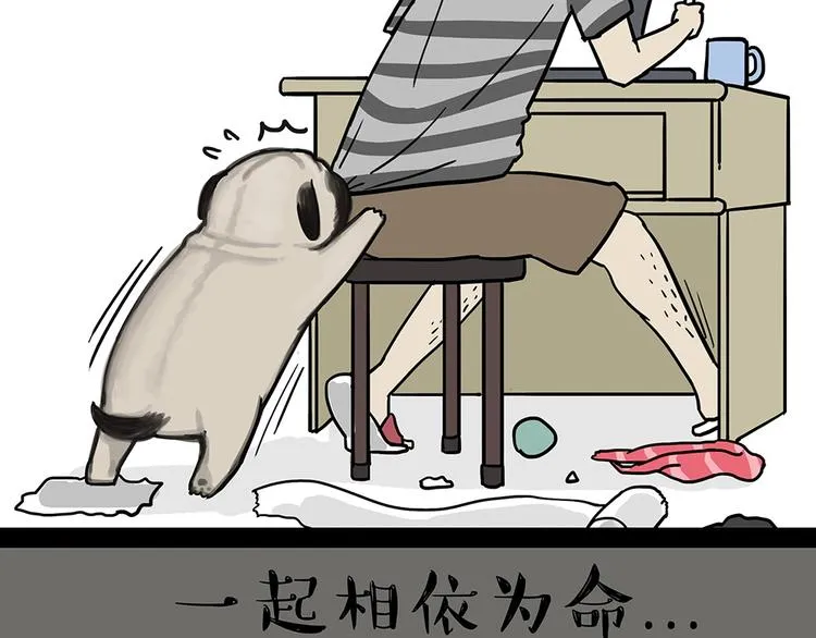 第52话 宠物的使命 第2页