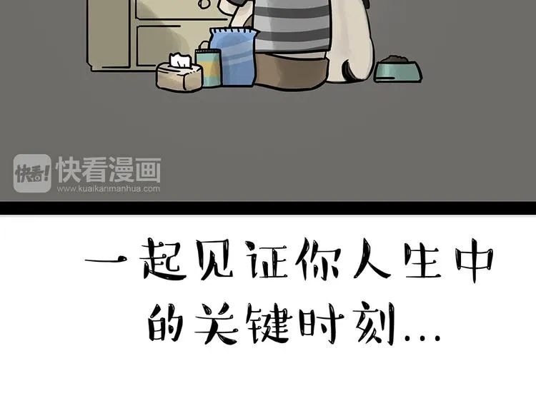 第52话 宠物的使命 第4页