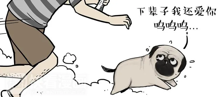 第52话 宠物的使命 第15页