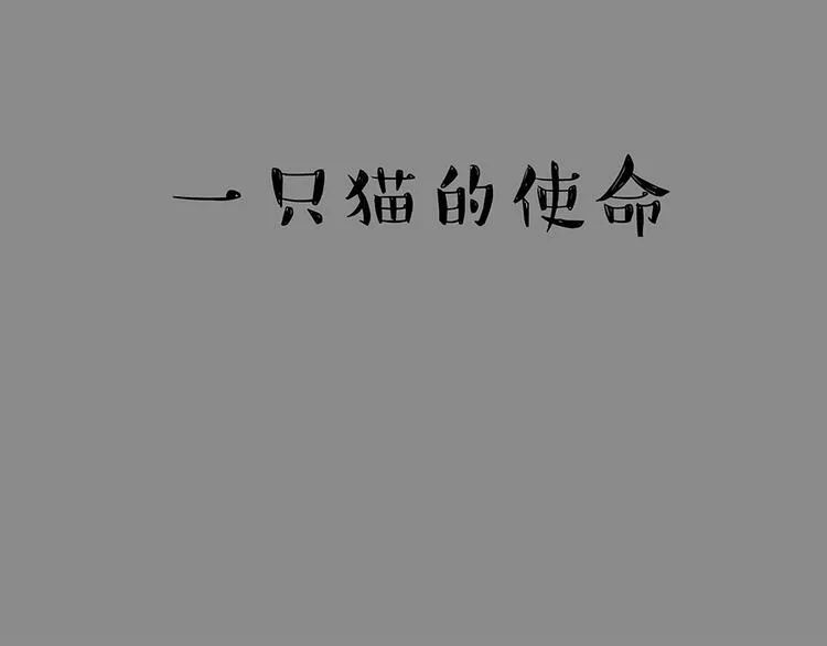 第52话 宠物的使命 第16页