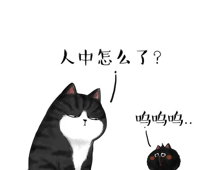 第53话 宠物的压力 第1页