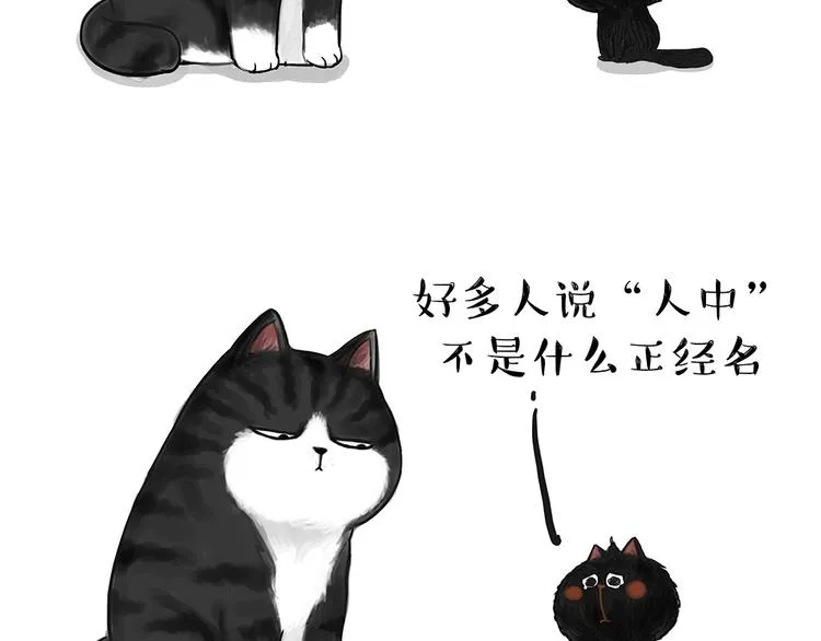 第53话 宠物的压力 第2页